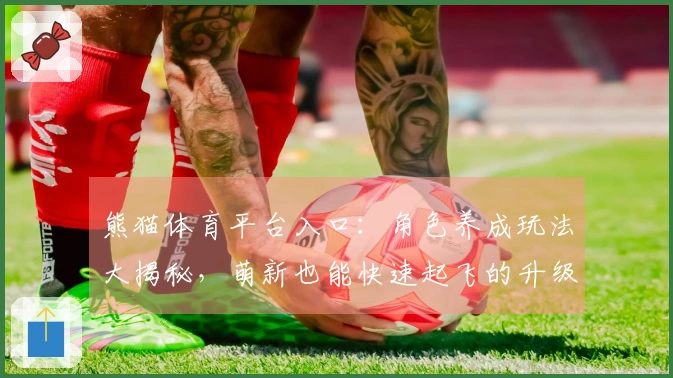 熊猫体育平台入口：角色养成玩法大揭秘，萌新也能快速起飞的升级秘籍！