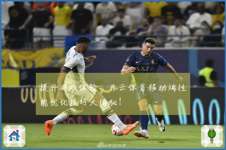 提升游戏体验，开云体育移动端性能优化技巧大揭秘！