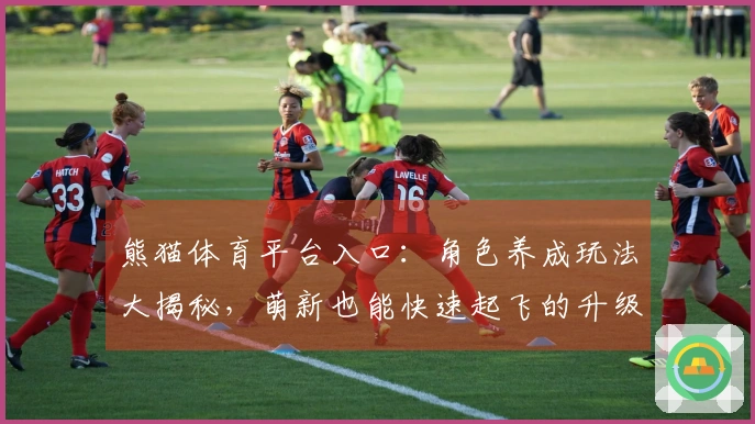 熊猫体育平台入口：角色养成玩法大揭秘，萌新也能快速起飞的升级秘籍！